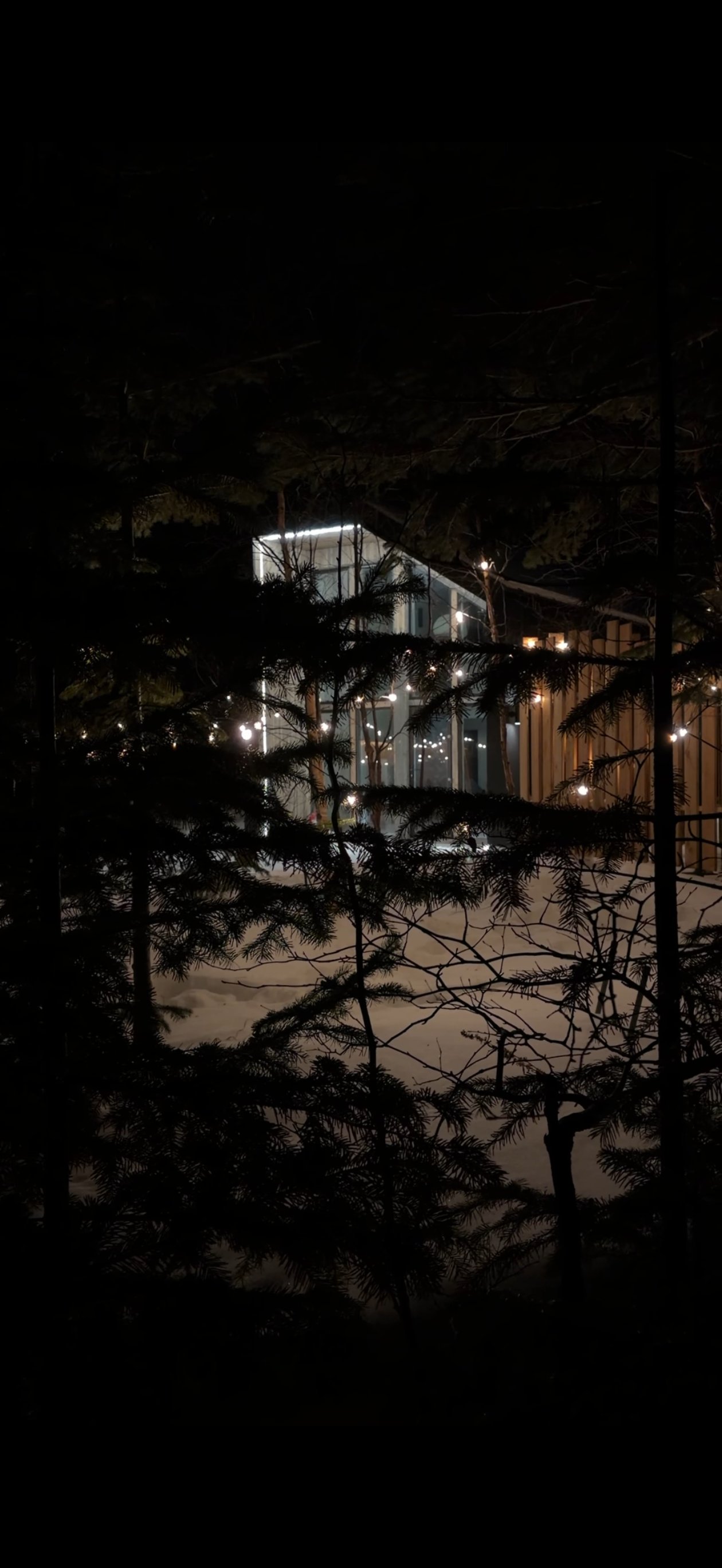 Фасад коттеджа RusKo - аренда загородного дома Южно-Сахалинск база отдыха Shelter